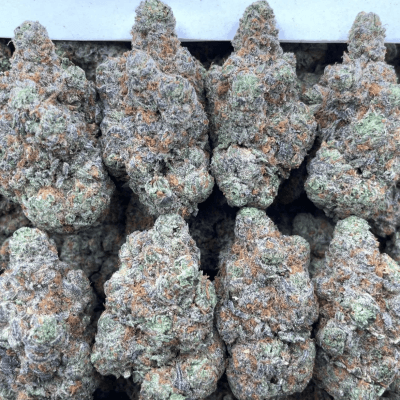 Blueberry Sweet Tartz