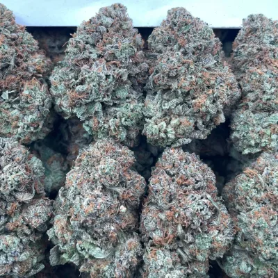 Platinum