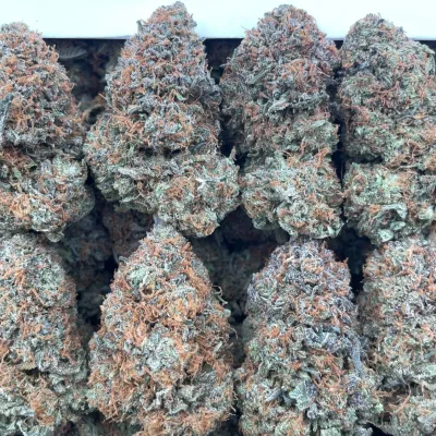 Skywalker OG