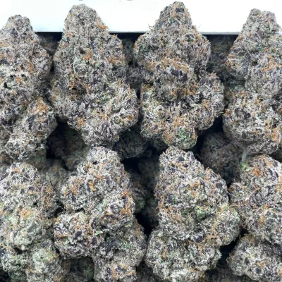 Sour Cherry Fumes